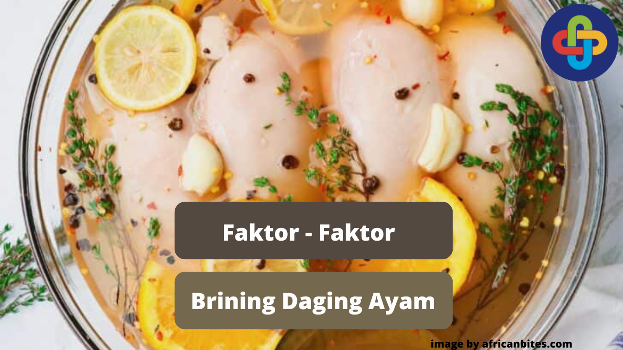 Berikut Ini Beberapa Faktor Dalam Brining Daging Ayam